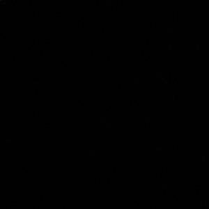 Meet your Posher, Hailey